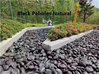 정원용 검은 돌 자갈