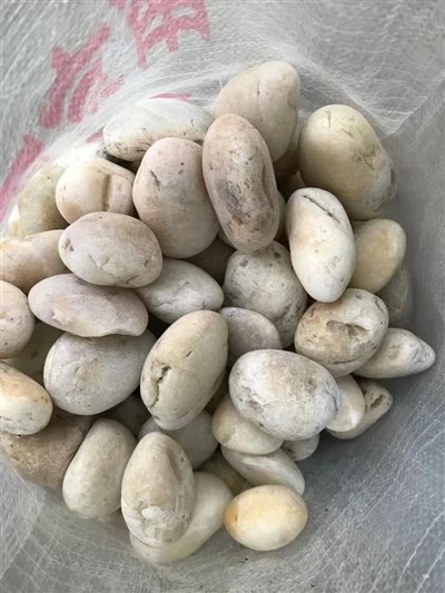 대량의 흰 자갈